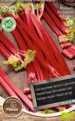 Discount Florex Bio Rhabarber (Rheum 'Champagne') Samen Gemüsesamen|Saatgut