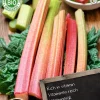 Sale Florex Bio Rhabarber (Rheum 'Pink Green') Samen Gemüsesamen|Saatgut