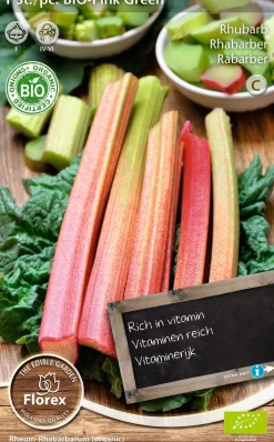Sale Florex Bio Rhabarber (Rheum 'Pink Green') Samen Gemüsesamen|Saatgut
