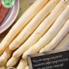 Florex Bio Spargel (Asparagus 'Vegalim') Samen Gemüsesamen|Saatgut