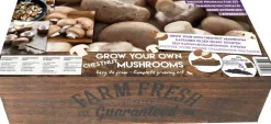 New Florex Farm Fresh Kastanienchampignon Anzucht-Set Gemüsesamen|Saatgut