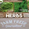 Best Florex Farm Fresh Küchenkräuter Anzucht-Set Kräutersamen|Saatgut