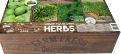 Best Florex Farm Fresh Küchenkräuter Anzucht-Set Kräutersamen|Saatgut