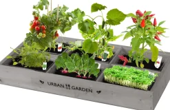Outlet Florex Urban Garden Gemüsebox Anzucht-Set Gemüsesamen|Saatgut