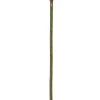 Outlet Harlekin-Weide (Salix integra 'Hakuro Nishiki') D 32 H 200 cm Winterharte Pflanzen|Weide