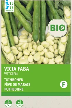 Ackerbohne (Vicia faba 'Weißkeimling') (BIO) Samen Gemüsesamen|Saatgut
