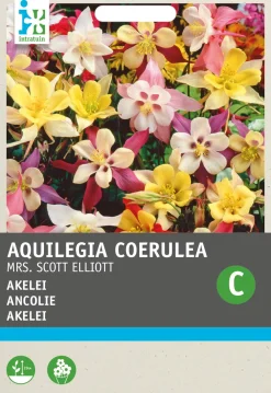 Best Akelei (Aquilegia coerulea 'Mrs Scott Elliot') Blumensamen Saatgut|Blühende Pflanzen