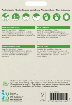 Best Akelei (Aquilegia coerulea 'Mrs Scott Elliot') Blumensamen Saatgut|Blühende Pflanzen