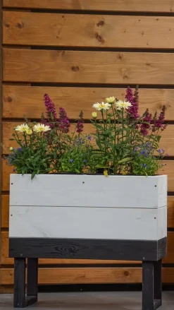 Online Anzuchtkasten Dubba hoch grau/weiß 61 x 33 x 54 cm Anzuchtkästen & Mini-Gewächshäuser