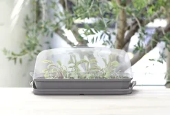 Best Anzuchtkasten mit Deckel grau 39,1 x 25,7 x 18,5 cm Anzuchtkästen & Mini-Gewächshäuser