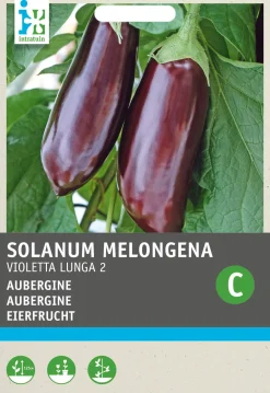 Online Aubergine (Solanum melongena 'Violetta Lunga 2') Samen Gemüsesamen|Saatgut