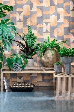 Discount Bank Whit naturell 114 x 35 x 41 cm Sitzbänke