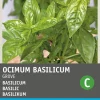 Hot Basilikum großblättrig (Ocimum basilicum) Samen Kräutersamen|Saatgut
