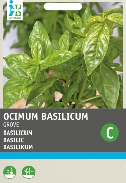 Hot Basilikum großblättrig (Ocimum basilicum) Samen Kräutersamen|Saatgut