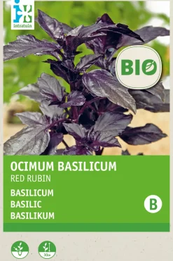 Clearance Basilikum rot (Basilicum 'Red Rubin') (BIO) Samen Kräutersamen|Saatgut