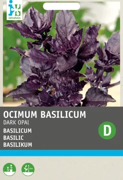Basilikum violett (Ocimum basilicum 'Dark Opal') Samen Kräutersamen|Saatgut