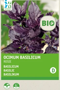 Hot Basilikum violett (Ocimum basilicum 'Rosie') (BIO) Samen Kräutersamen|Saatgut