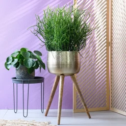 Sale Beistelltisch Tray schwarz D 32 cm H 34 cm Beistelltische|Beistelltische