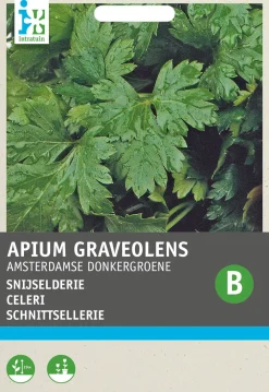 Sale Blattsellerie (Apium graveolens) Samen Kräutersamen|Saatgut