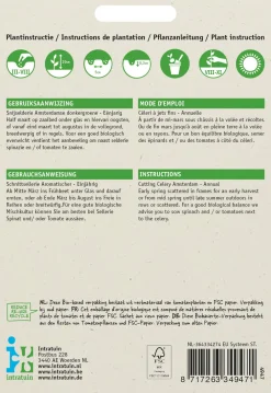 Sale Blattsellerie (Apium graveolens) Samen Kräutersamen|Saatgut