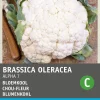 Online Blumenkohl (Brassica oleracea 'Alpha') Samen Gemüsesamen|Saatgut