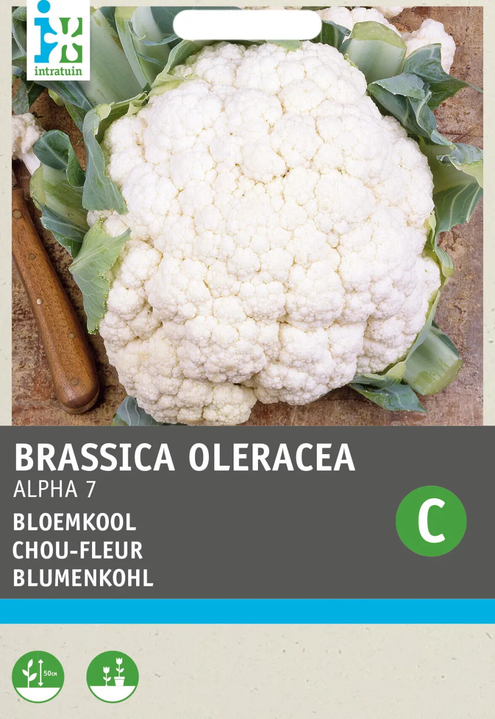 Online Blumenkohl (Brassica oleracea 'Alpha') Samen Gemüsesamen|Saatgut