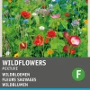 Sale Blumensamen-Mischung Wildblumen Saatgut|Blühende Pflanzen