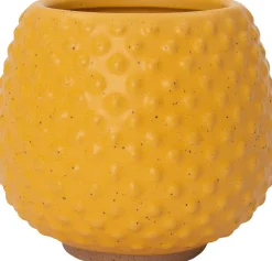 Best Blumentopf Din gelb D 11,5 H 10 cm Blumentöpfe|Blumentöpfe & Pflanzgefäße