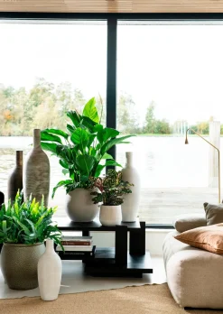 Outlet Blumentopf Firenze grün D 35 H 35 cm Blumentöpfe|Blumentöpfe & Pflanzgefäße