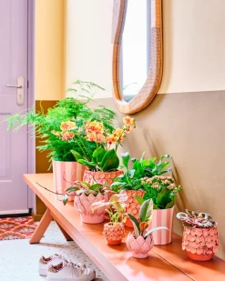 Online Blumentopf Julian rosa D 12 H 10 cm Blumentöpfe & Pflanzgefäße|Blumentöpfe