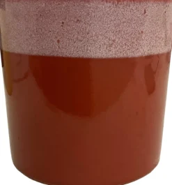 Best Blumentopf Max braun D 13 H 13 cm Blumentöpfe|Blumentöpfe & Pflanzgefäße