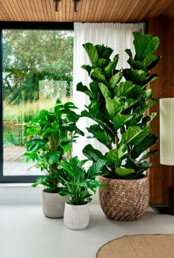 Discount Blumentopf Melle braun D 19 H 17 cm Blumentöpfe & Pflanzgefäße|Blumentöpfe