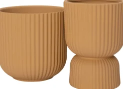 Discount Blumentopf mit Fuß Elle gelb D 11,5 H 16 cm Blumentöpfe|Blumentöpfe & Pflanzgefäße