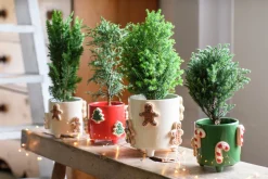 Discount Blumentopf mit Füßen Jiya Weihnachtsbaum rot D 16 H 15 cm Blumentöpfe & Pflanzgefäße|Blumentöpfe