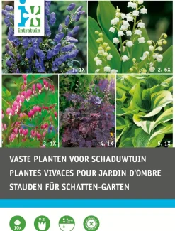 Sale Blumenzwiebel-Mischung Schattenstauden 10 St. Sommer-Blüher|Blumenzwiebeln