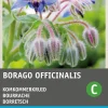 Discount Borretsch (Borago officinalis) Samen Gemüsesamen|Saatgut