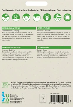 Discount Borretsch (Borago officinalis) Samen Gemüsesamen|Saatgut