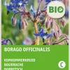Online Borretsch (Borago officinalis) (BIO) Samen Kräutersamen|Saatgut