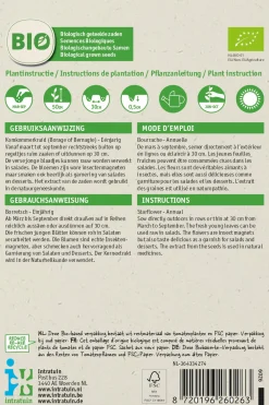 Online Borretsch (Borago officinalis) (BIO) Samen Kräutersamen|Saatgut