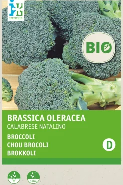 Clearance Brokkoli (Brassica oleracea 'Calabrese Natalino') (BIO) Samen Gemüsesamen|Saatgut