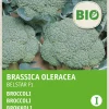 Discount Brokkoli (Brassica oleracea 'Belstar F1') (BIO) Samen Gemüsesamen|Saatgut