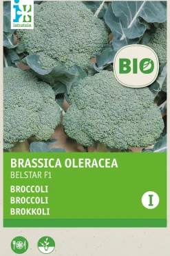 Discount Brokkoli (Brassica oleracea 'Belstar F1') (BIO) Samen Gemüsesamen|Saatgut