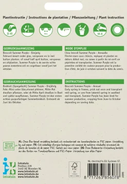 Sale Brokkoli (Brassica italicum 'Summer Purple') Samen Gemüsesamen|Saatgut