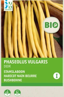 Outlet Buschbohne gelb (Phaseolus vulgaris 'Dior') (BIO) Samen Gemüsesamen|Saatgut