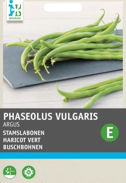 Clearance Buschbohne (Phaseolus vulgaris 'Haricot Vert Argus') Samen Gemüsesamen|Saatgut