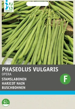 Online Buschbohne (Phaseolus vulgaris 'Opera gourmet') Samen Gemüsesamen|Saatgut