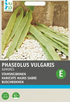 Outlet Buschbohne (Phaseolus vulgaris 'Admires') Samen Gemüsesamen|Saatgut