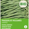 New Buschbohne (Phaseolus vulgaris 'Compass') (BIO) Samen Gemüsesamen|Saatgut