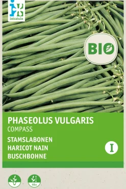 New Buschbohne (Phaseolus vulgaris 'Compass') (BIO) Samen Gemüsesamen|Saatgut