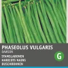 New Buschbohne (Phaseolus vulgaris 'Sonate') Samen Gemüsesamen|Saatgut